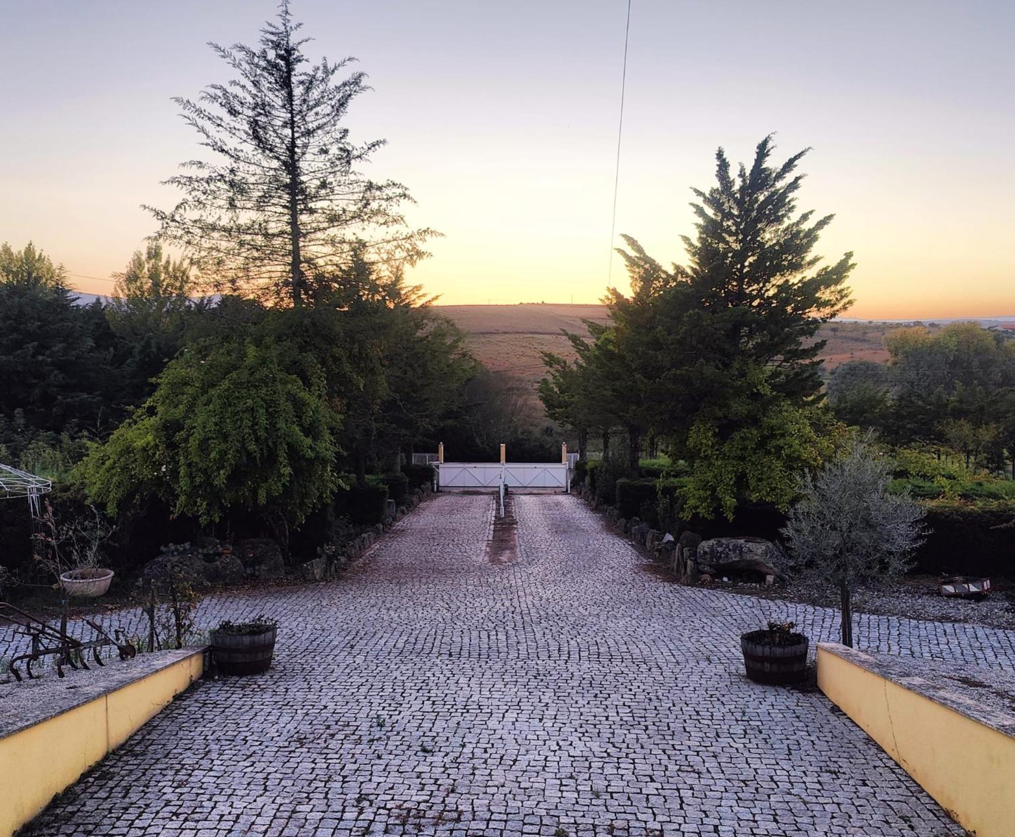 Quinta Da Libelinha Alojamento Local - Mirandela Exterior photo